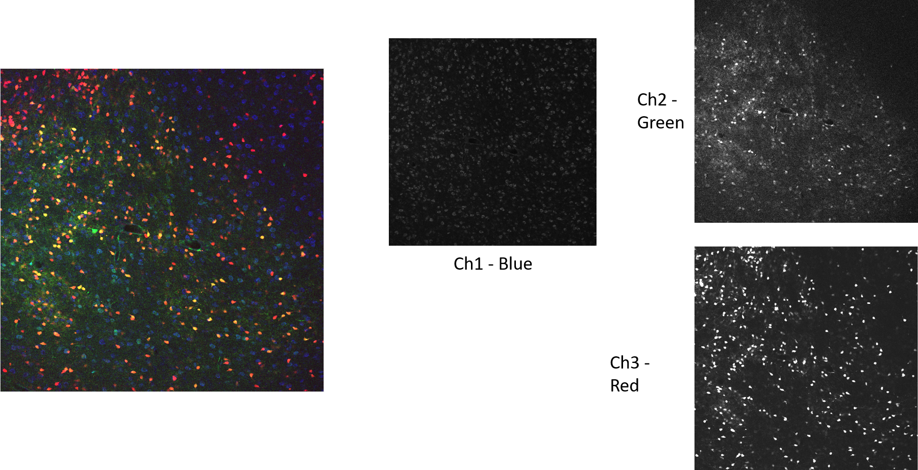 PCBP3 Example